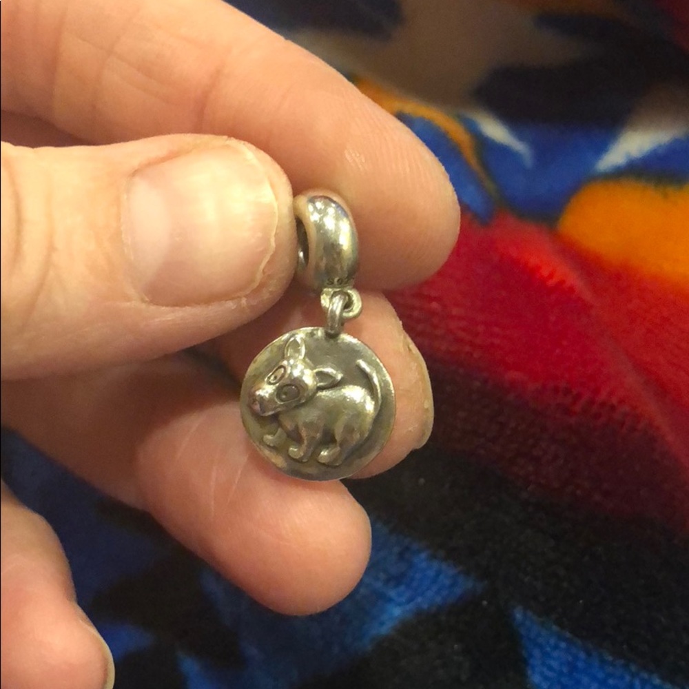 Hanging pandora charm with dog